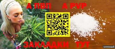 гидра Новокубанск